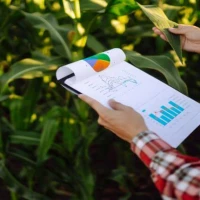 Agriculture Accountants 0